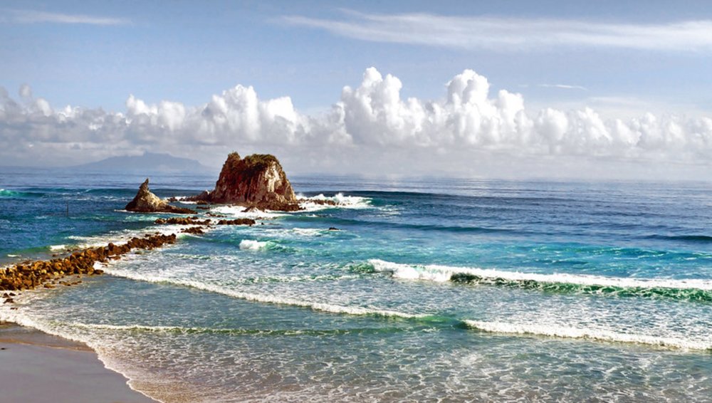 north island day trips