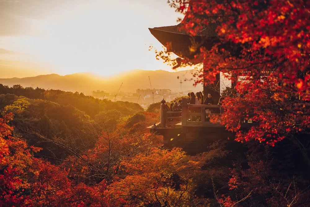 kiyomizu temple autumn