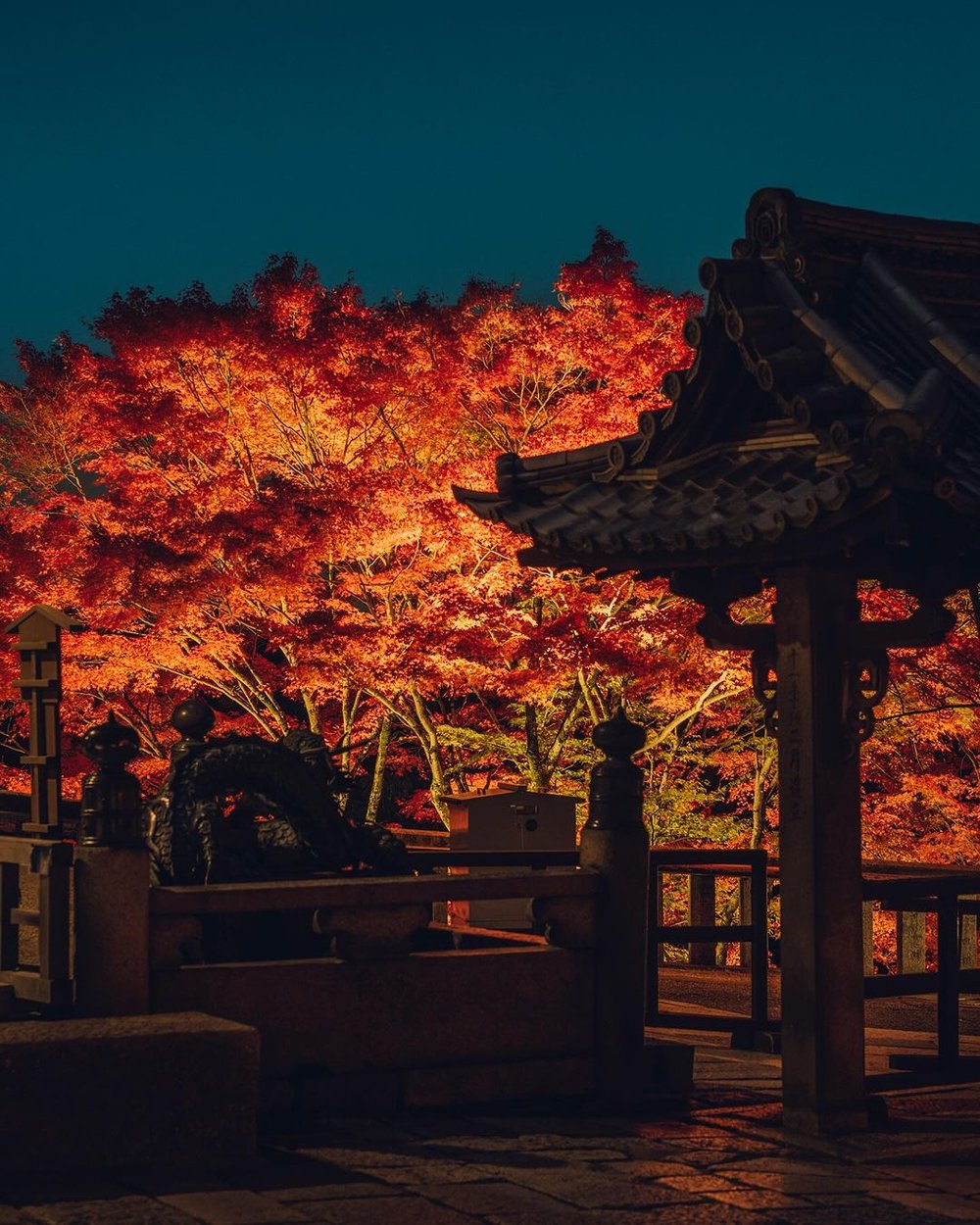 kiyomizu temple autumn