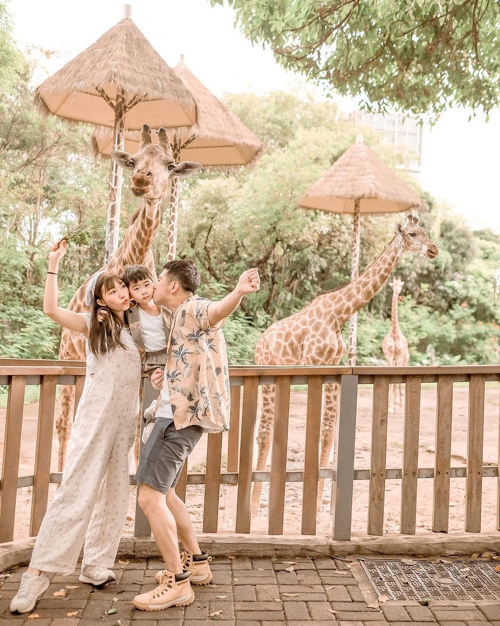 深圳野生動物園