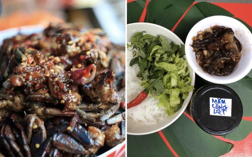  Mắm Còng Bến Tre - Món Đặc Sản Sông Nước Đậm Đà