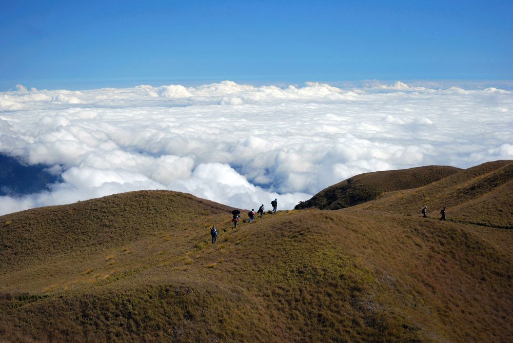 Mount Pulag trail