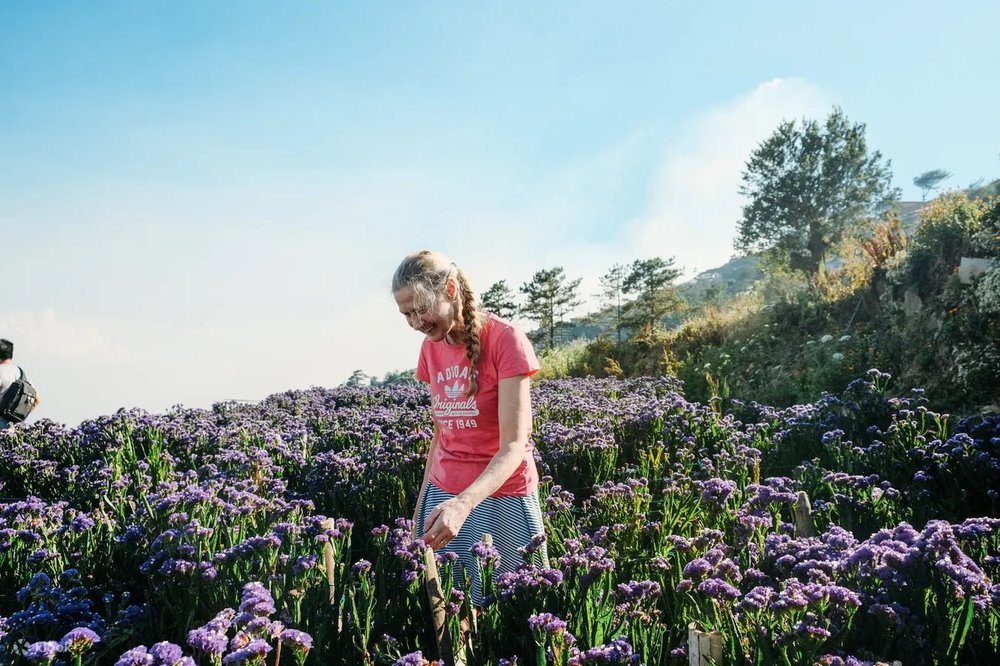 Flower farm in Atok Benguet