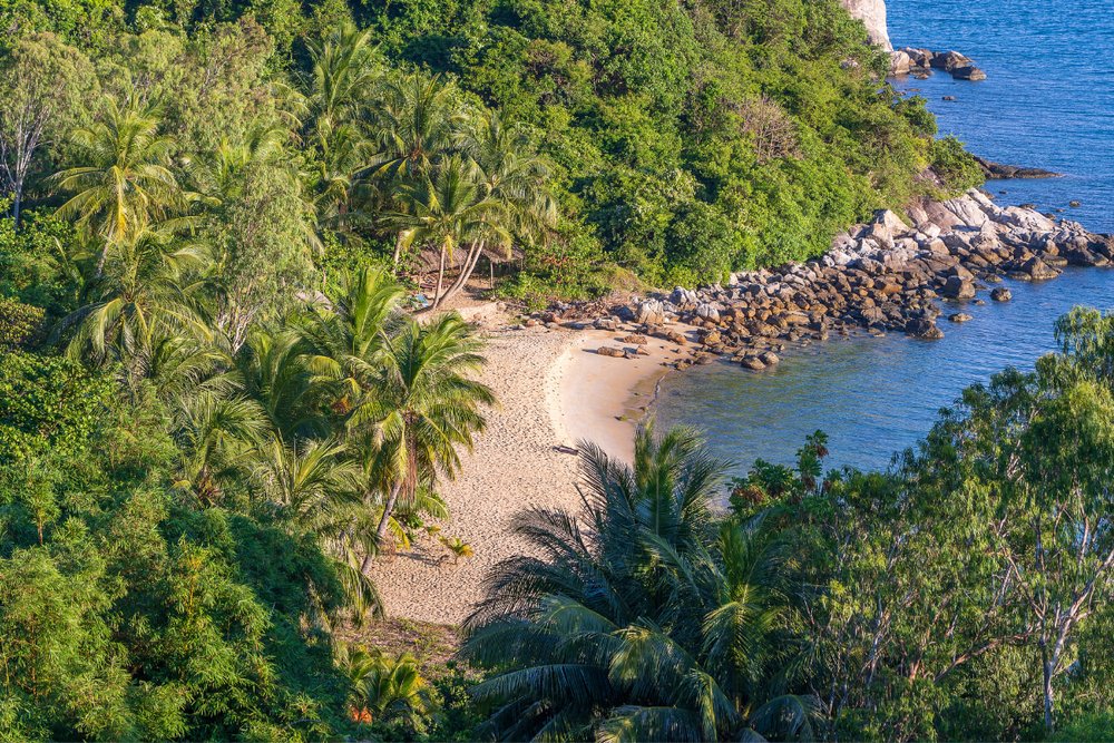 Khám Phá Rừng Nguyên Sinh Cù Lao