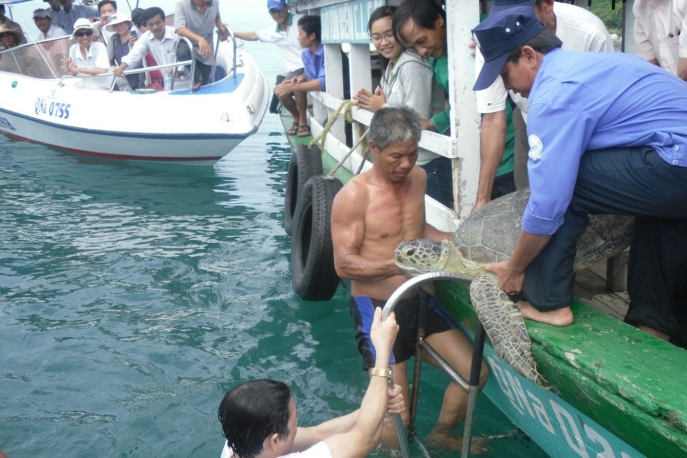 Bảo Tàng Biển Cù Lao Chàm
