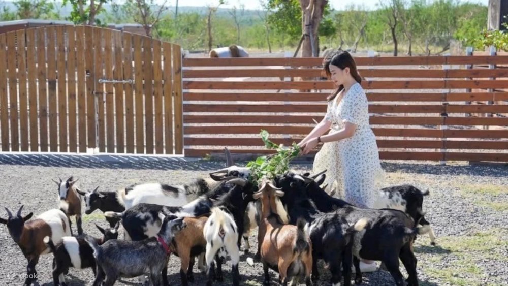 墾丁灰太狼生態教育園區