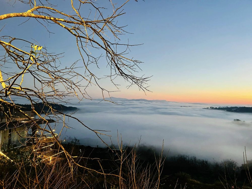 The Diff House’s Đà Lạt