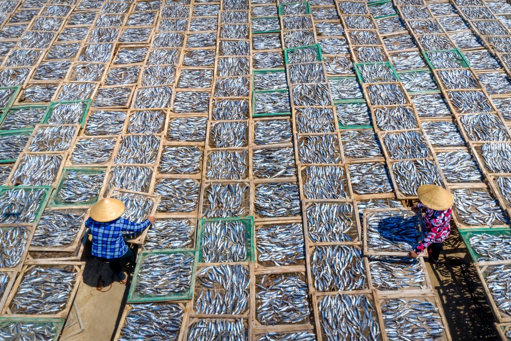 Đặc Sản Cá Khô Ở Đảo Nam Du 