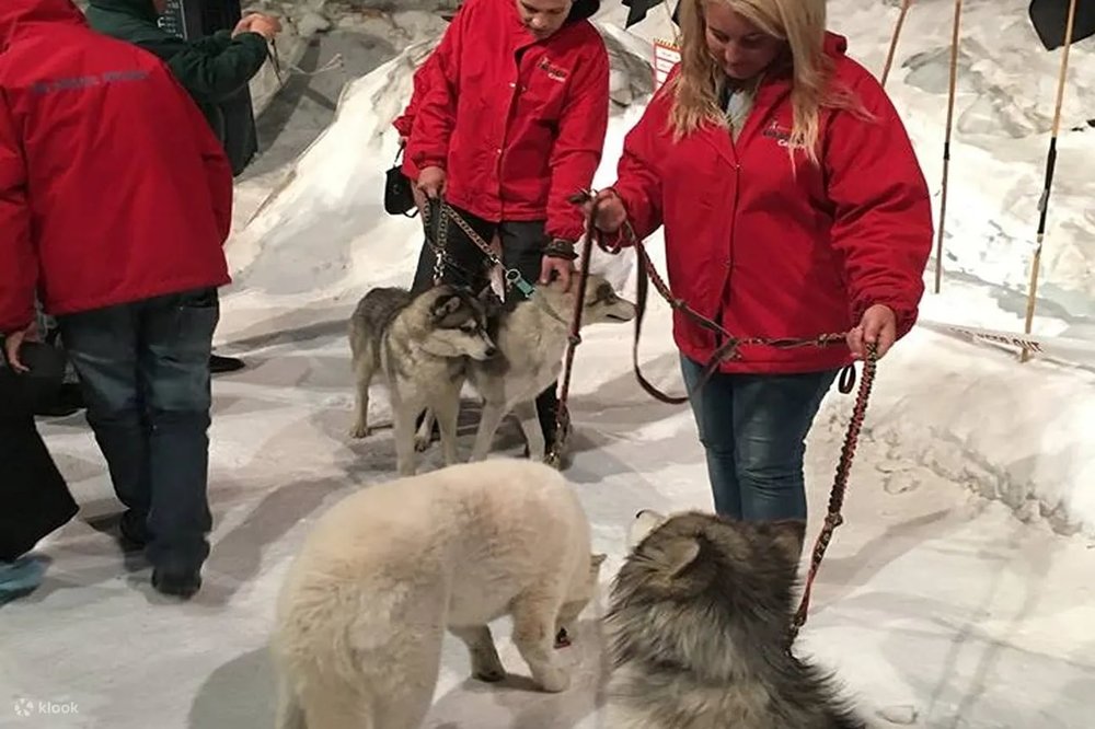 基督城國際南極中心門票