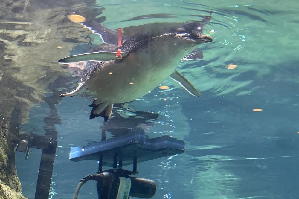 基督城國際南極中心門票