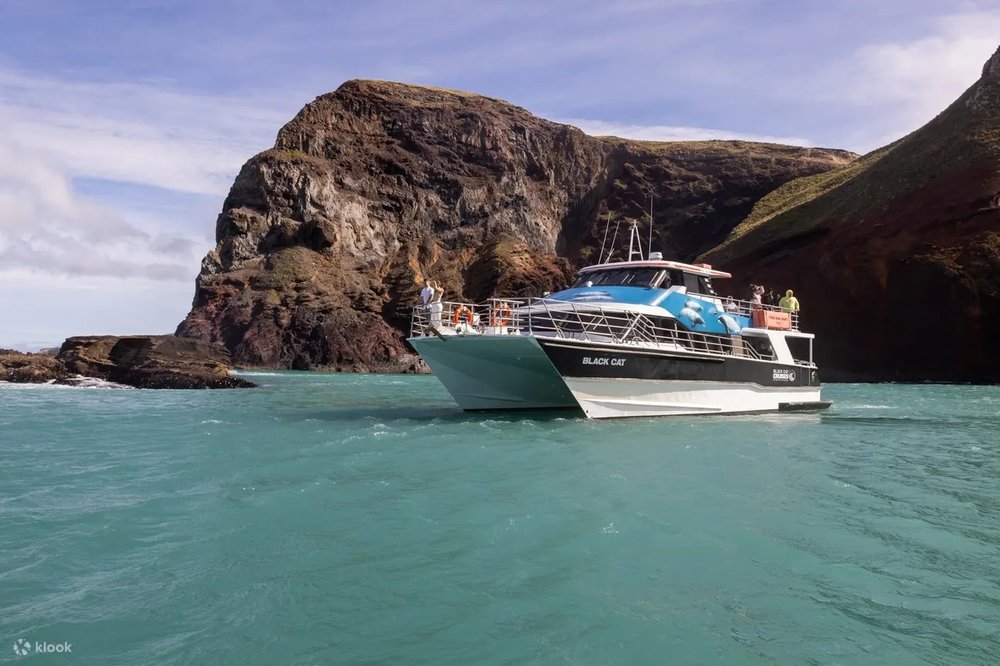 阿卡羅阿港生態游輪之旅
