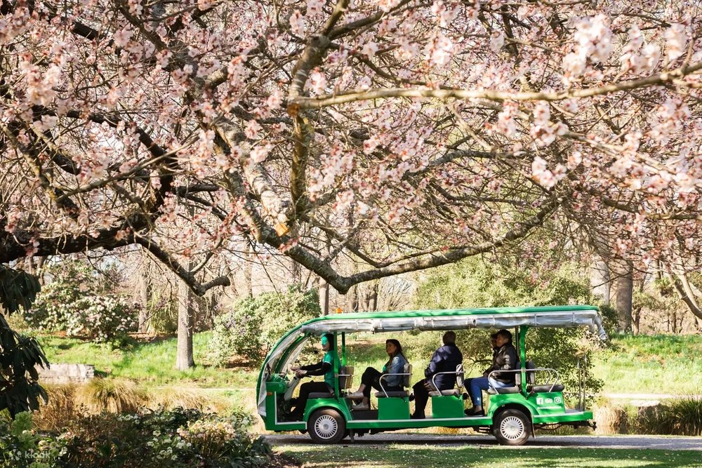 基督城植物園之旅