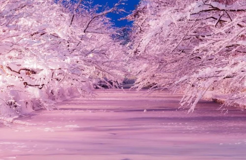 SG Japan Winter Activities: Hirosaki Park