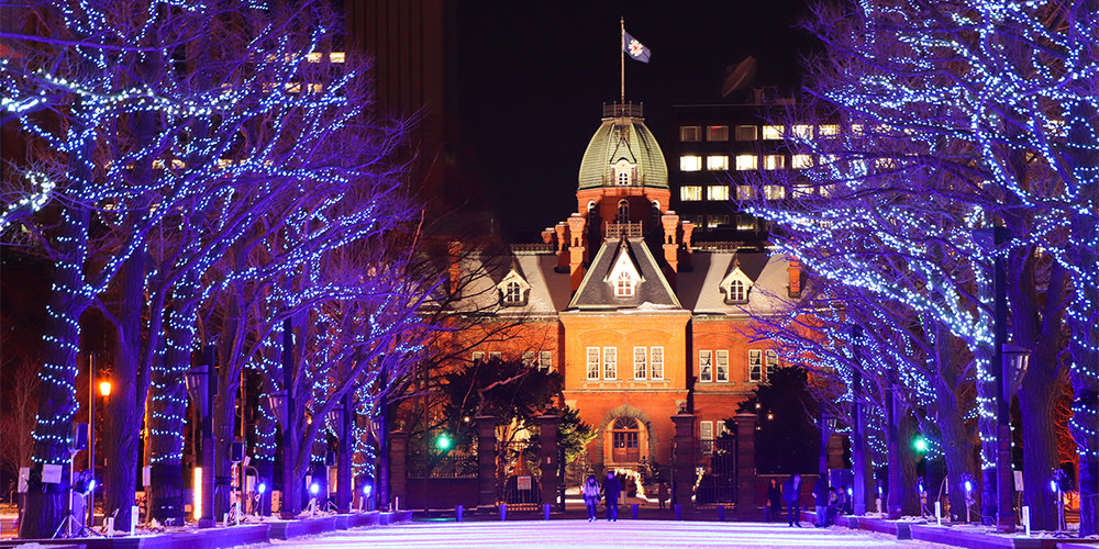 SG Japan Winter Activities: Sapporo White Illumination