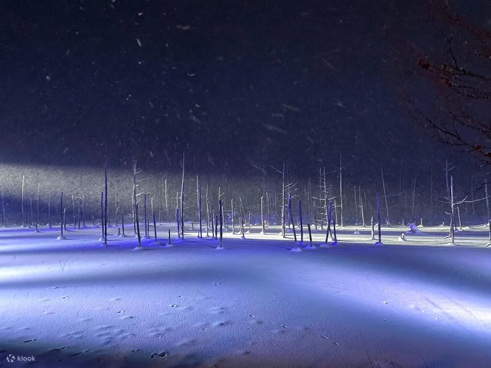 SG Japan Winter Activities: Biei Blue Pond