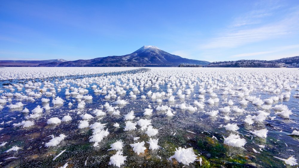 SG Japan Winter Activities: frost flowers
