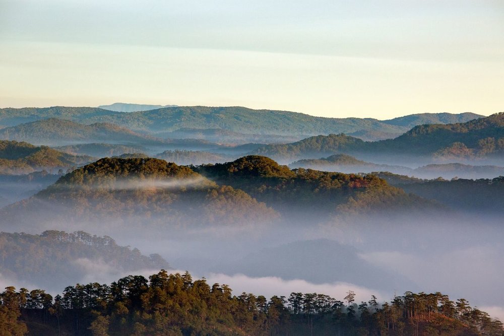  Đồi Đa Phú - Địa Điểm Săn Mây Đà Lạt Không Thể Bỏ Lỡ 