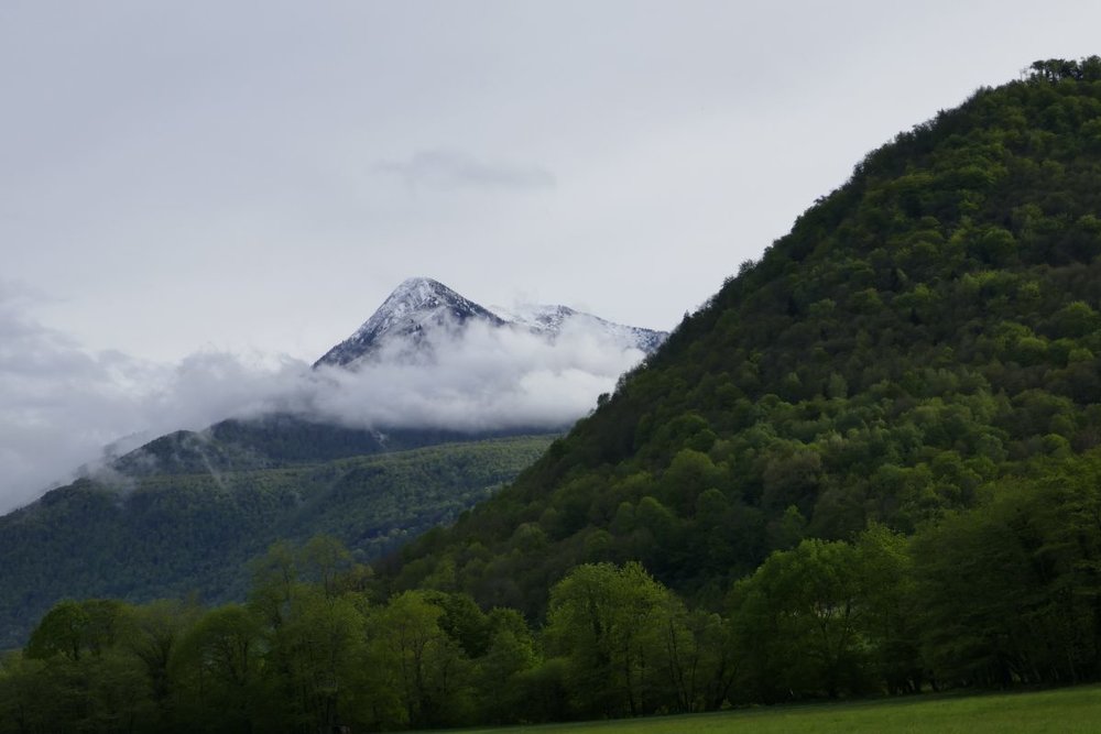  Đỉnh Rada - Điểm Săn Mây Đà Lạt 