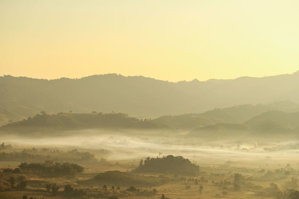 Đồi Du Sinh Đà Lạt 