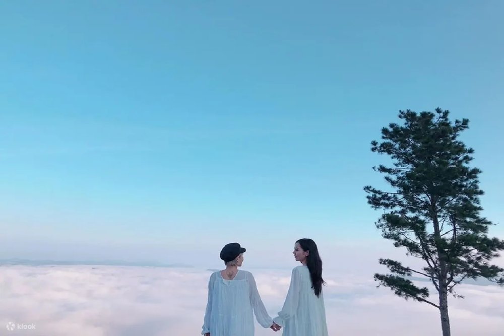  Đồi Đa Phú - Địa Điểm Săn Mây Đà Lạt Không Thể Bỏ Lỡ 
