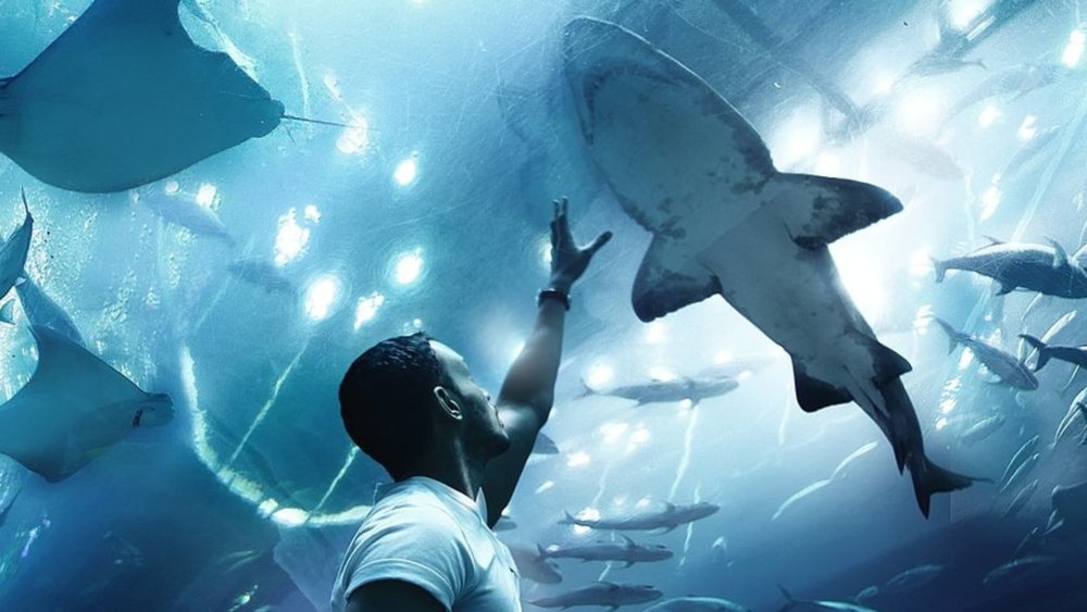 6. Dubai Aquarium and Underwater Zoo