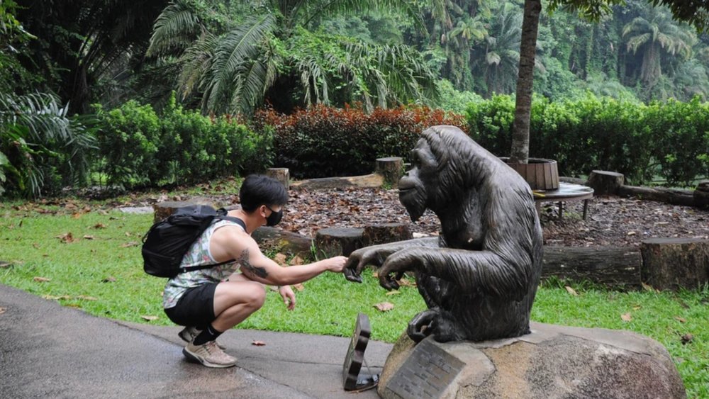 Singapore Zoo opening hours
