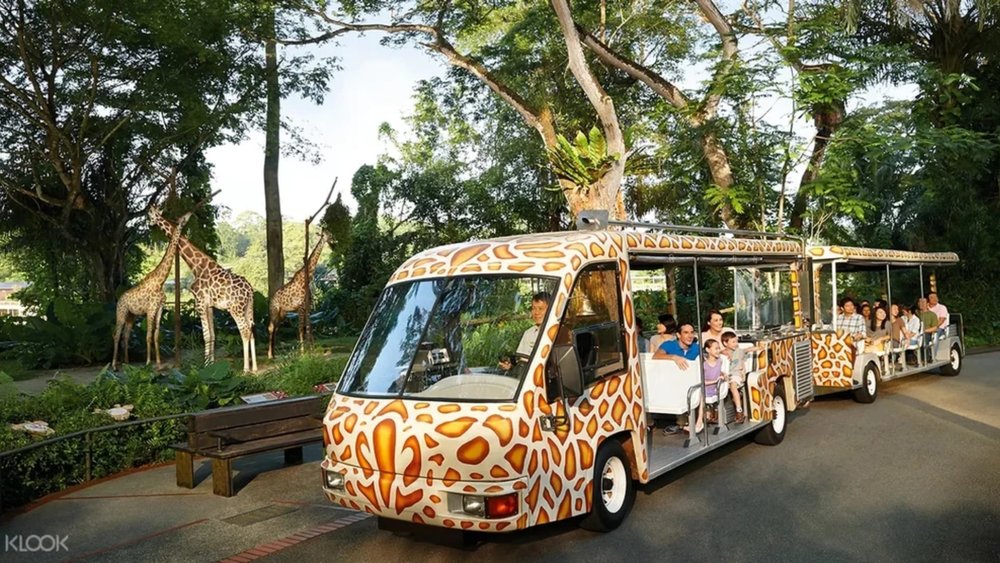 Take a ride on the Singapore Zoo tram