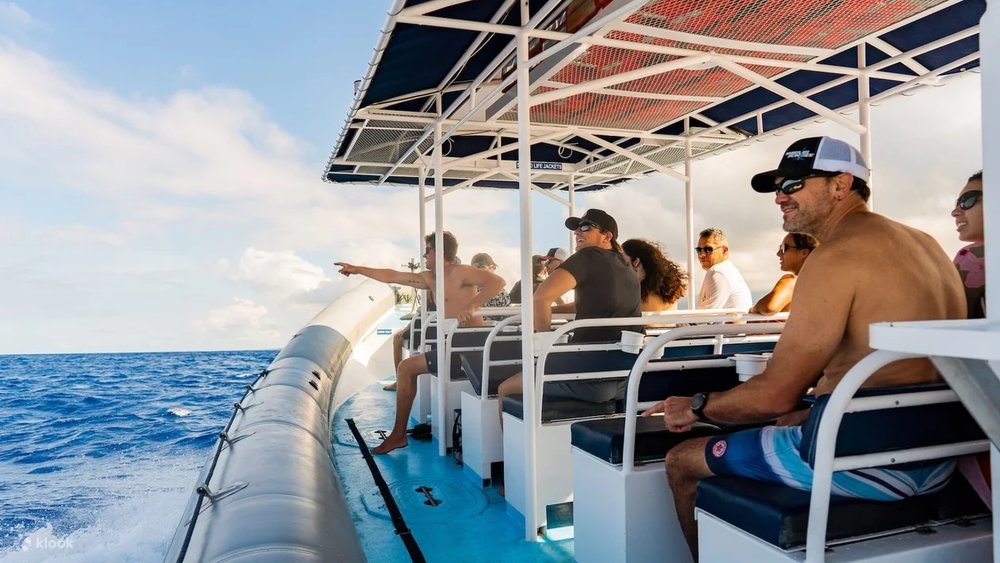 kona snorkeling tours