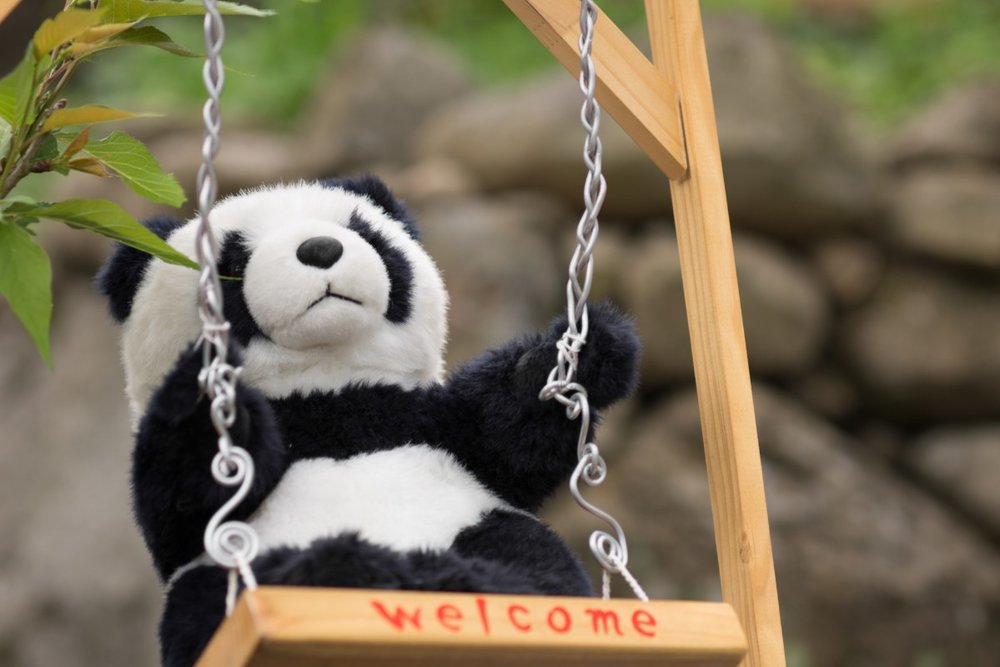 Check-in Tháp Tre Và Ngắm Toàn Cảnh Công Viên