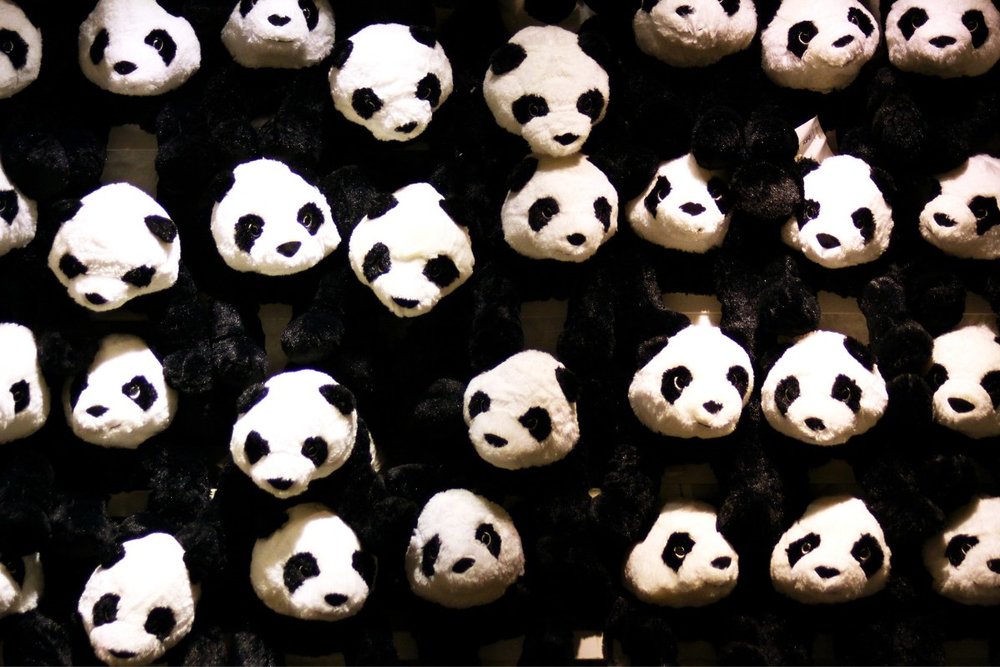  Mua Những Món Quà Lưu Niệm Đáng Yêu