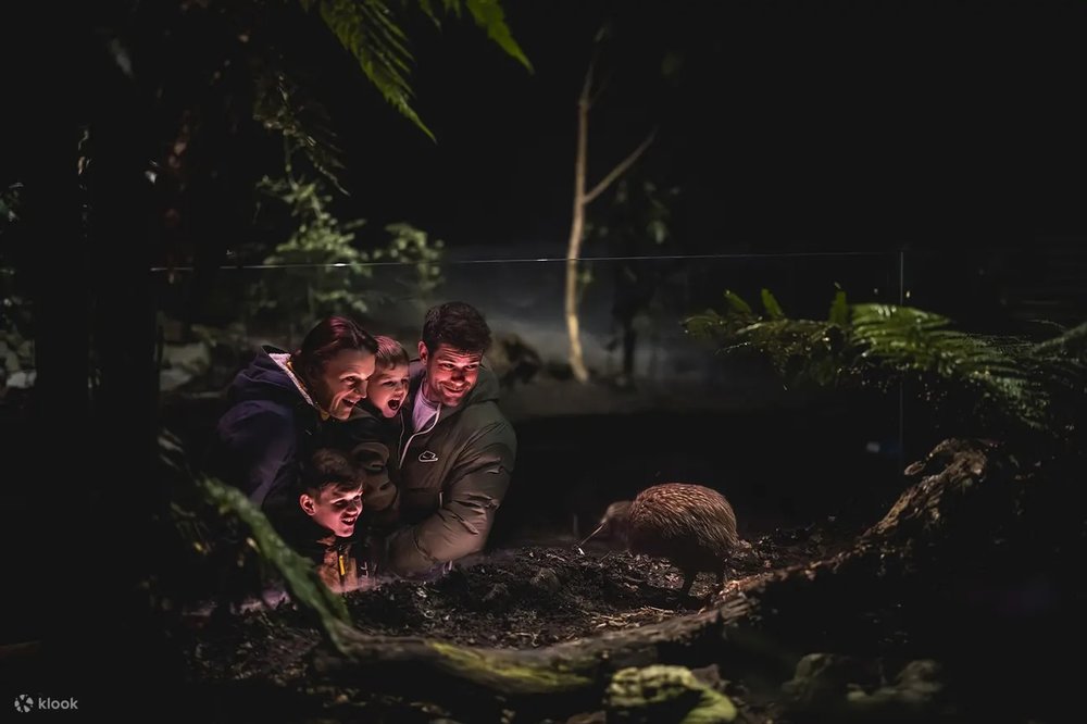 皇后鎮奇異鳥生態公園