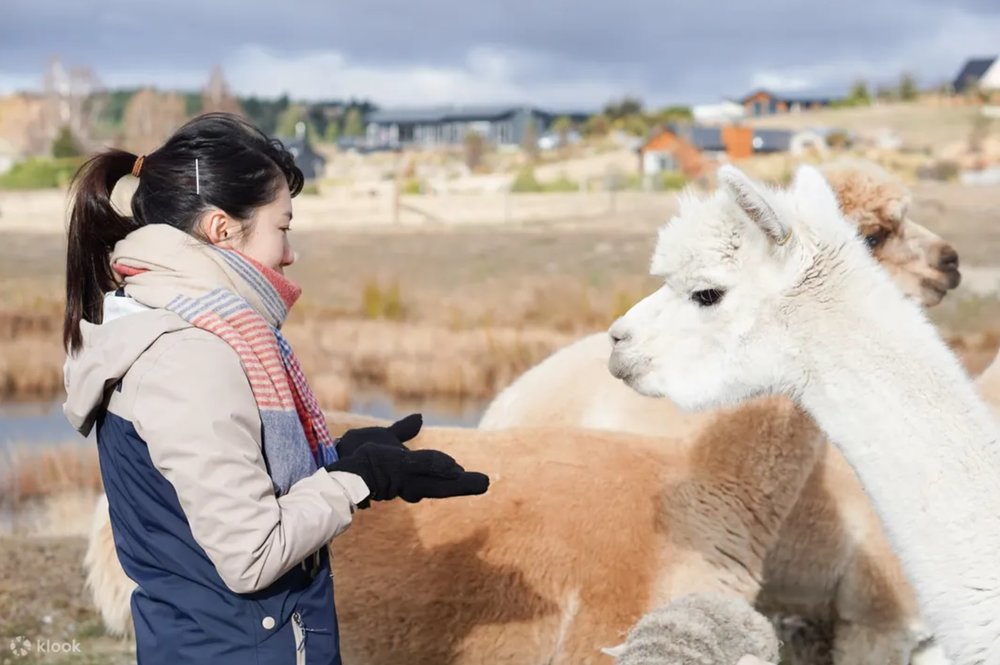 蒂卡波寵物動物園