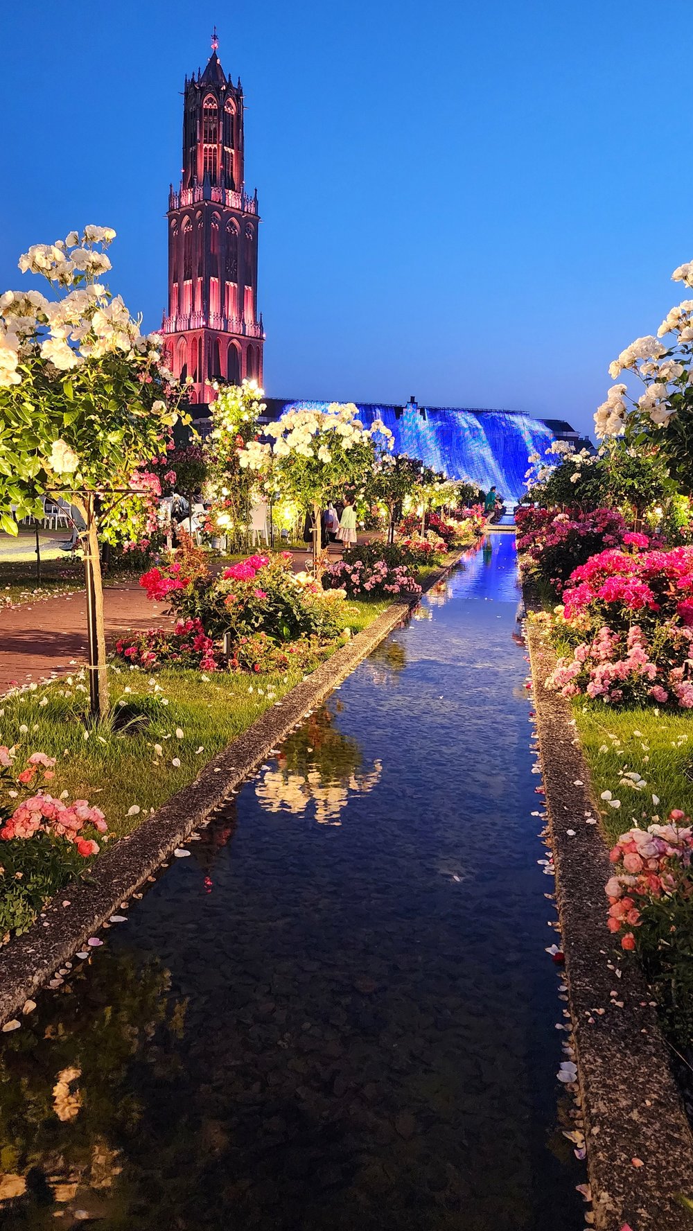 豪斯登堡｜絕美夜景