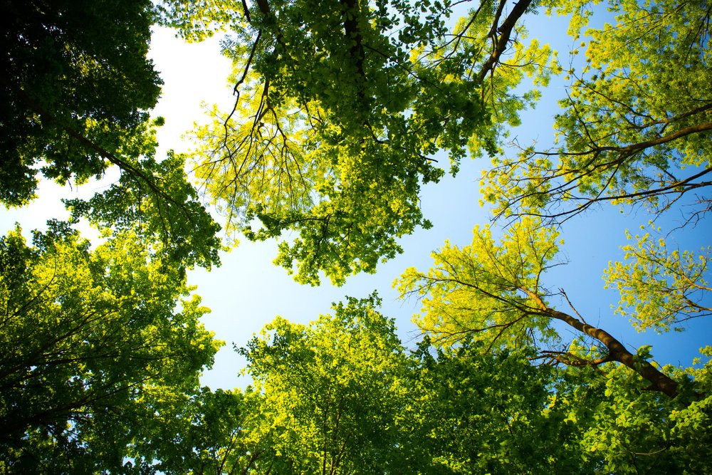 khu-du-lich-van-thanh