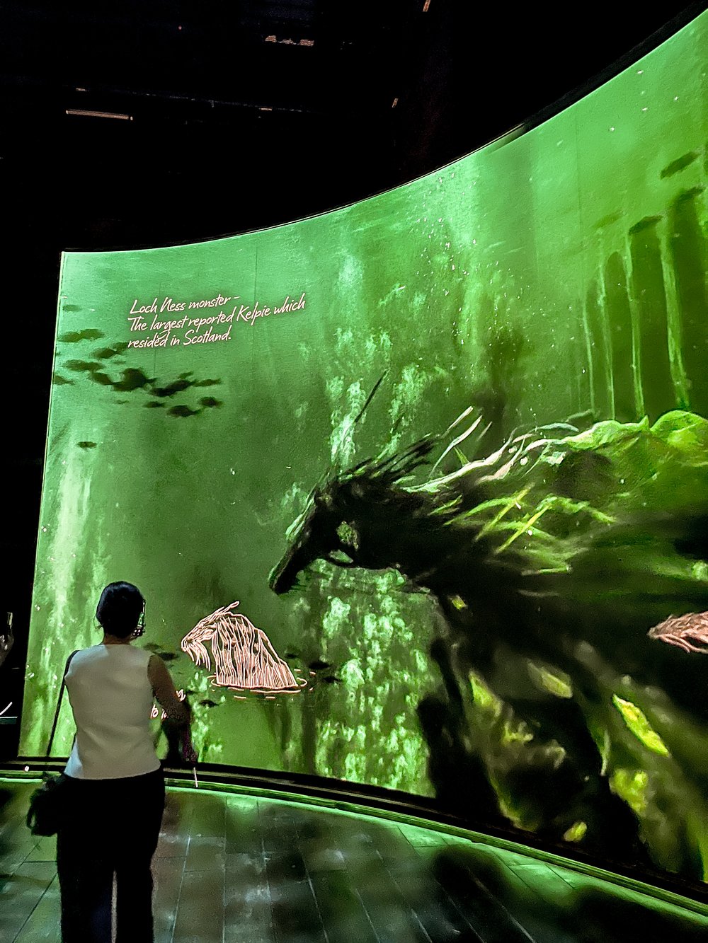 Harry Potter Visions of Magic review