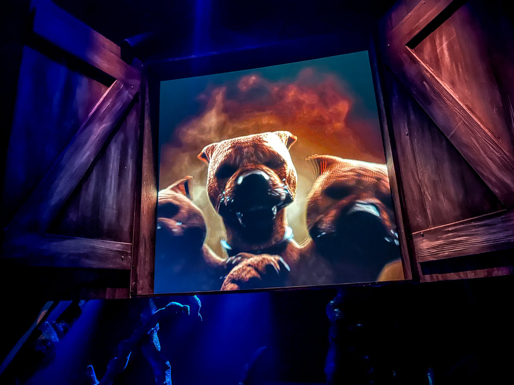 Harry Potter Visions of Magic review