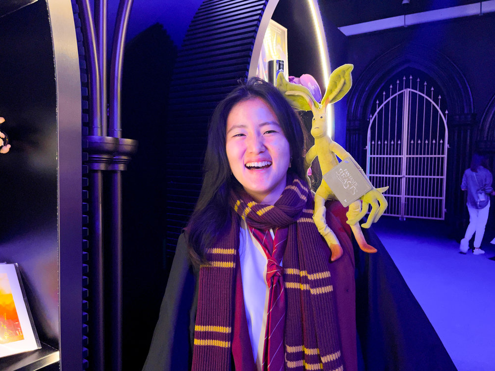 harry potter visions of magic review