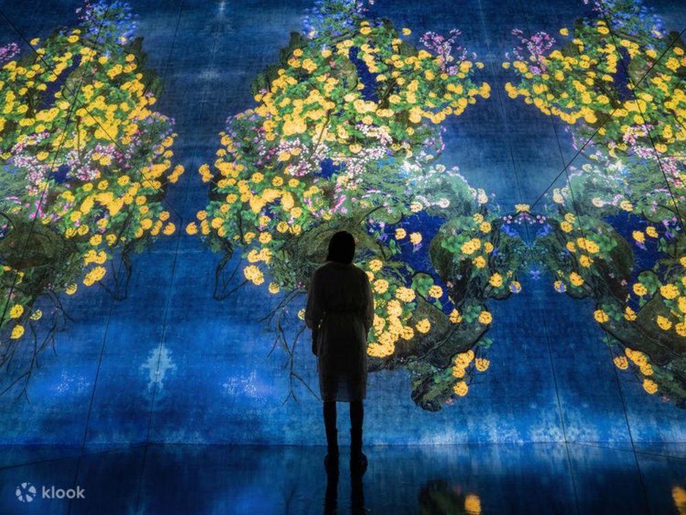 EPSON teamLab Massless Art Space Bắc Kinh