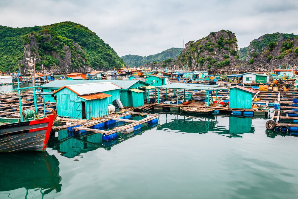 Thưởng thức hải sản tại làng chài Cái Bèo