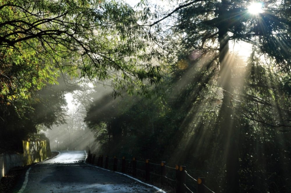 雪見遊憩區 林道光簾