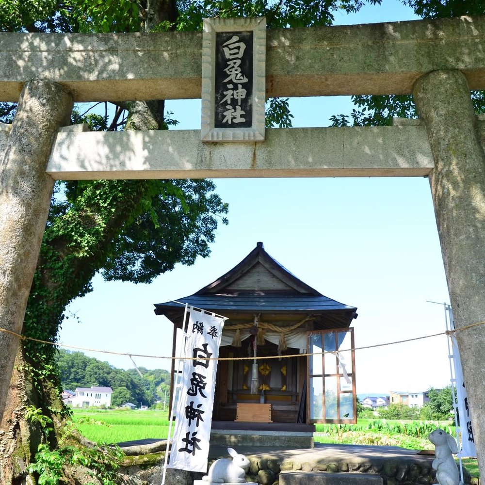 米子自由行,白兔神社
