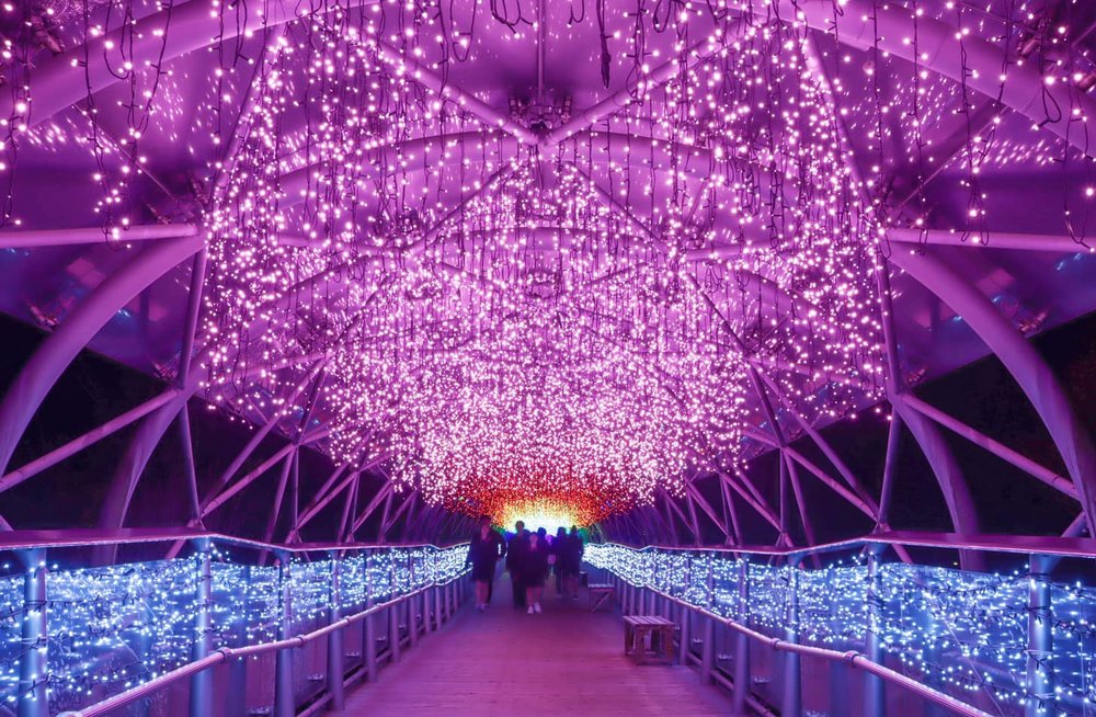 米子自由行,鳥取花迴廊