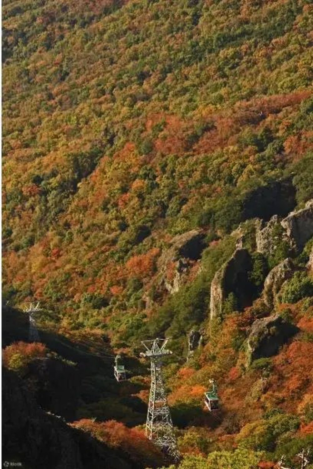 高松景點|小豆島