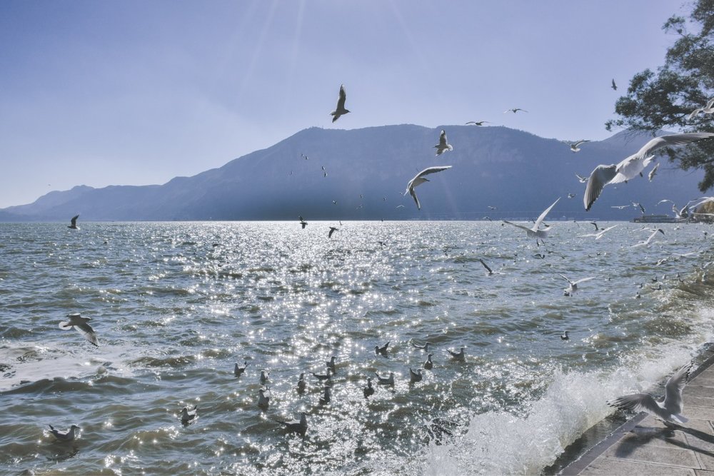 Hồ Điền Trì Ở Vân Nam