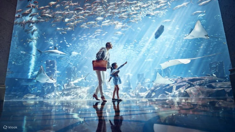 Thuỷ Cung The Lost Chambers Of Atlantis Sanya