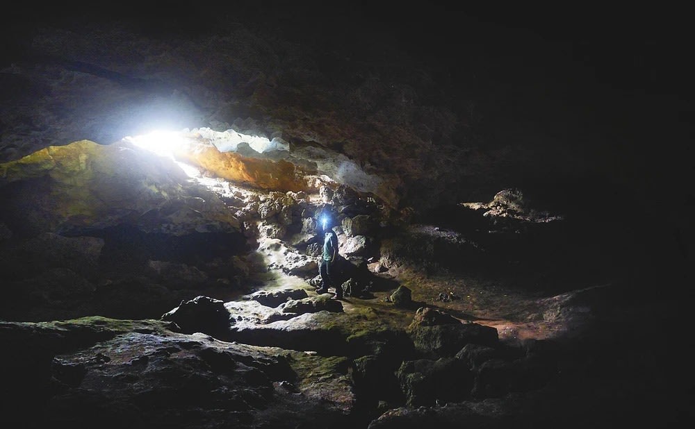 Ngày 2: Khám Phá Phú Sĩ Ngũ Hồ