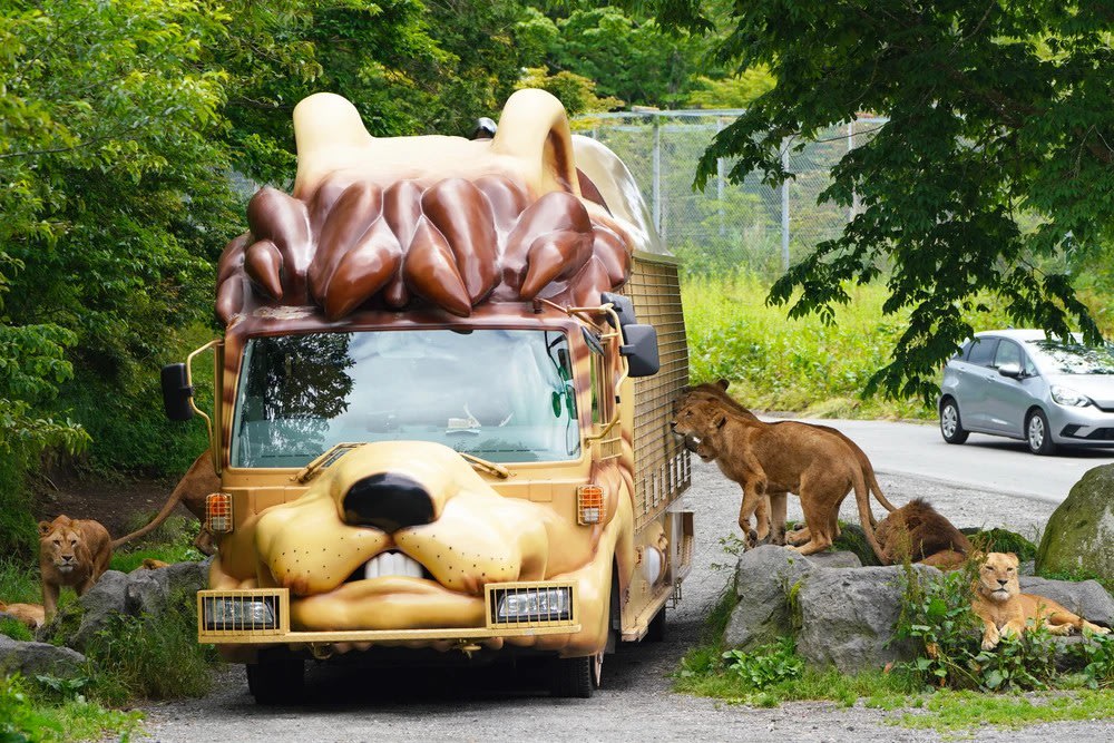 Ngày 4: Mua Sắm Và Thư Giãn Trước Khi Trở Về