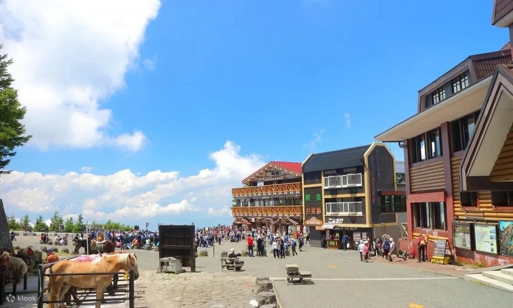 Chi Phí Du Lịch Núi Phú Sĩ 4 Ngày 3 Đêm Từ Tokyo Tham Khảo