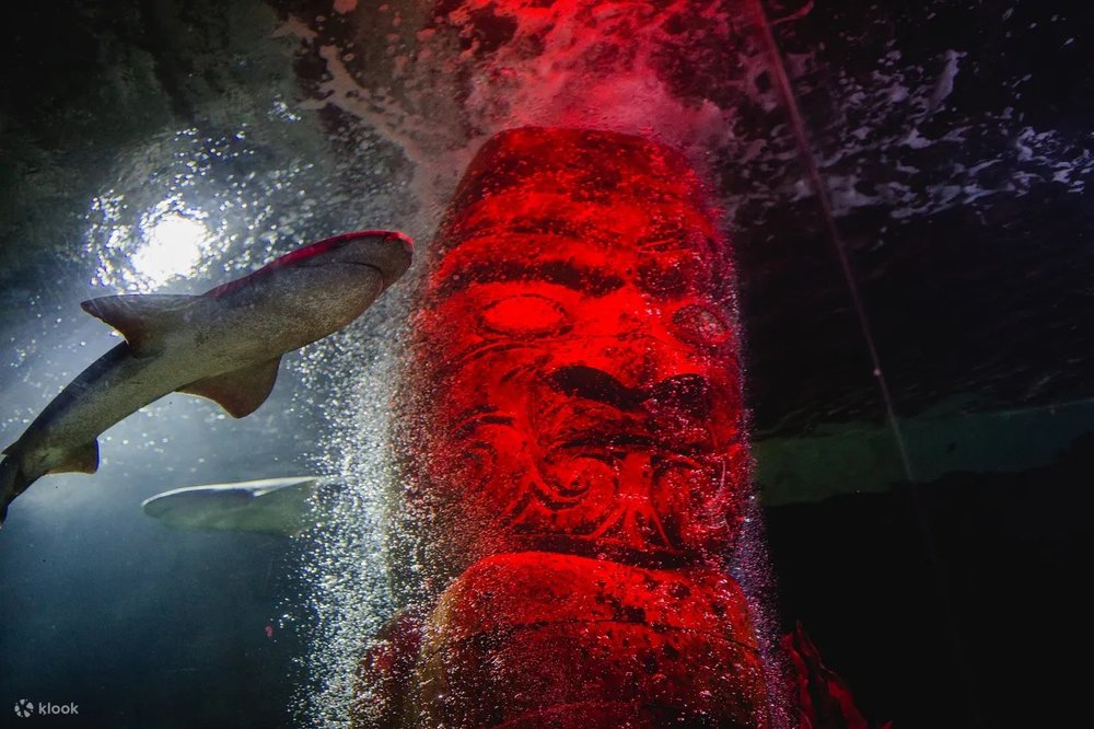奧克蘭凱莉塔頓水族館