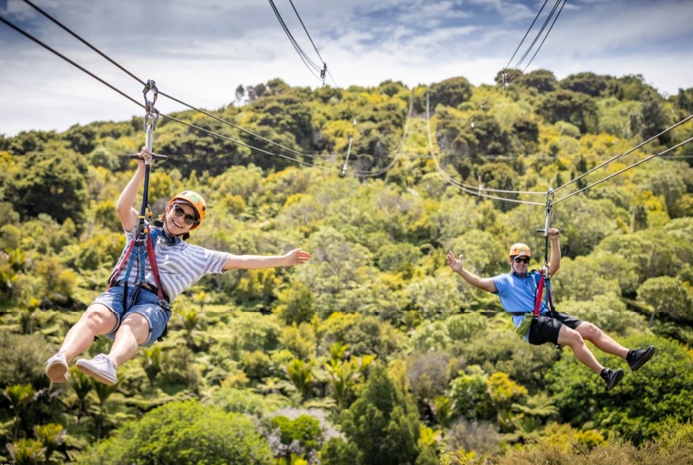 懷希基島空中飛索與森林探險